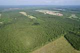 50.5 Acres Epps Rd. - Photo 19