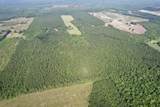 50.5 Acres Epps Rd. - Photo 21