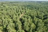 50.5 Acres Epps Rd. - Photo 23
