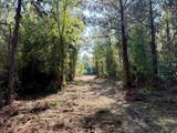 50.5 Acres Epps Rd. - Photo 3