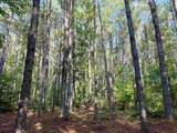50.5 Acres Epps Rd. - Photo 4