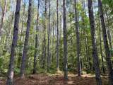 50.5 Acres Epps Rd. - Photo 5