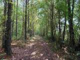 50.5 Acres Epps Rd. - Photo 6