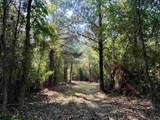 50.5 Acres Epps Rd. - Photo 7