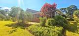 9729 Armelise Dr. - Photo 4
