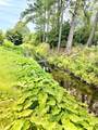 9729 Armelise Dr. - Photo 6