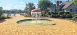 9729 Armelise Dr. - Photo 90