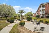 3951 Gladiola Ct. - Photo 35