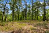 6518 Fraser St. - Photo 6