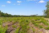 155.81 Acres - Roper Woods Rd. - Photo 10