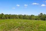 155.81 Acres - Roper Woods Rd. - Photo 11
