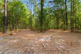 155.81 Acres - Roper Woods Rd. - Photo 13