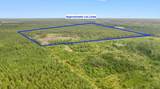 155.81 Acres - Roper Woods Rd. - Photo 16