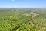 155.81 Acres - Roper Woods Rd. - Photo 17