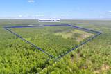 155.81 Acres - Roper Woods Rd. - Photo 18