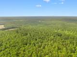 155.81 Acres - Roper Woods Rd. - Photo 19