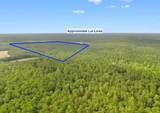155.81 Acres - Roper Woods Rd. - Photo 20