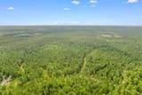 155.81 Acres - Roper Woods Rd. - Photo 21