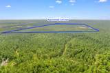 155.81 Acres - Roper Woods Rd. - Photo 22