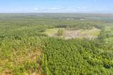 155.81 Acres - Roper Woods Rd. - Photo 23