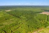155.81 Acres - Roper Woods Rd. - Photo 25