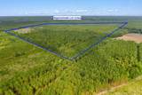 155.81 Acres - Roper Woods Rd. - Photo 26