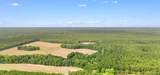 155.81 Acres - Roper Woods Rd. - Photo 27