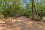 155.81 Acres - Roper Woods Rd. - Photo 4