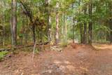 155.81 Acres - Roper Woods Rd. - Photo 6