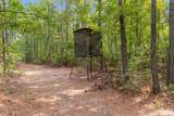 155.81 Acres - Roper Woods Rd. - Photo 7