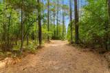 155.81 Acres - Roper Woods Rd. - Photo 8