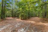 155.81 Acres - Roper Woods Rd. - Photo 9