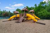 7045 Turtle Cove Dr. - Photo 41