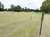 4224 Horse Pen Bay Rd. - Photo 27