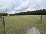 4224 Horse Pen Bay Rd. - Photo 30