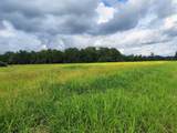 TBD Old Georgetown Rd. - Photo 8