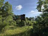 81.67 Acres - Twin Church Rd - Photo 1