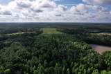 81.67 Acres - Twin Church Rd - Photo 10