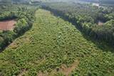 81.67 Acres - Twin Church Rd - Photo 14