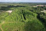 81.67 Acres - Twin Church Rd - Photo 16