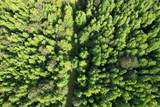 81.67 Acres - Twin Church Rd - Photo 17