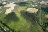 81.67 Acres - Twin Church Rd - Photo 19