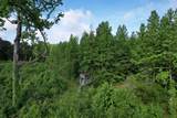 81.67 Acres - Twin Church Rd - Photo 2