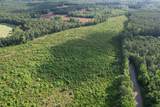 81.67 Acres - Twin Church Rd - Photo 21