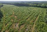 81.67 Acres - Twin Church Rd - Photo 22