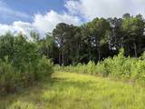 81.67 Acres - Twin Church Rd - Photo 24