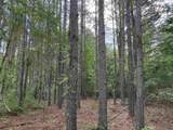 81.67 Acres - Twin Church Rd - Photo 25