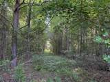 81.67 Acres - Twin Church Rd - Photo 3
