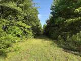 81.67 Acres - Twin Church Rd - Photo 7