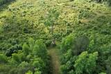 81.67 Acres - Twin Church Rd - Photo 8